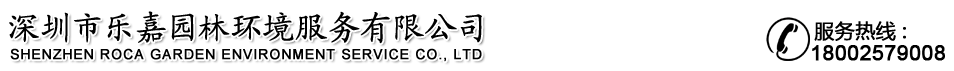 网站Logo