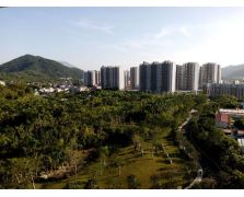 案例展示 (13)