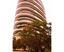 案例展示 (4)